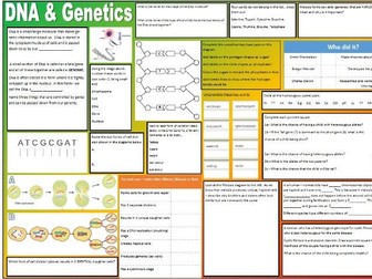 DNA and genetics revision