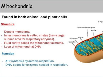 WJEC A level Biology AS Unit 1 Topic 1.2: Cell structure and organisation powerpoints for whole topi