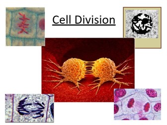Cell Division (A-level) Mitosis and Meiosis