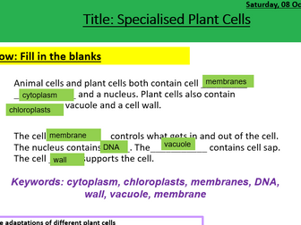 Specialised Plant Cells