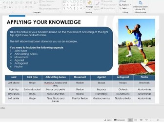 OCR GCSE PE Muscular PowerPoint and supporting booklet