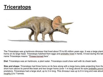 Dinosaur Factfile