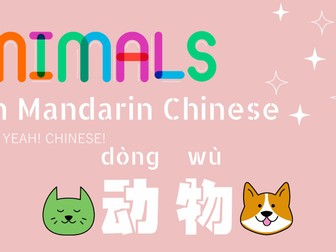 All About Animals (in Mandarin Chinese) - 动物