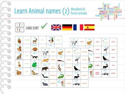 Woodland Pond Animals Animal Names Card Sort Memory By Woodland Pond Animals Animal Names Card Sort Memory By Anjacschmidt Teaching Resources Tes