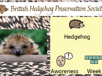 Hedgehog Awareness Week Assembly