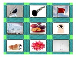 Phonics Consonant Blends bl-cl-fl-gl-pl Photo Card Game