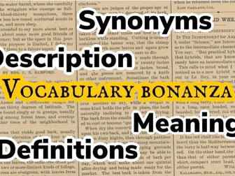 Vocabulary Bonanza: Perfect for home learning