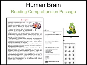 Human Brain Reading Comprehension and Word Search