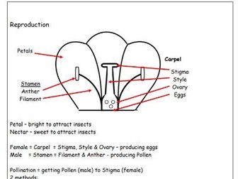 KS2 Science concepts