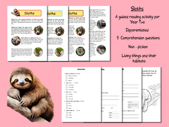 Guided Reading Comprehension Year Two : Sloths (non-fiction)