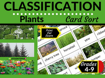 Plants | Classification | Card Sort