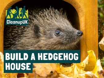 Build a Hedgehog House Activity Sheet - CleanupUK