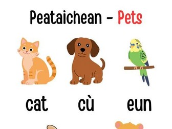 Gaelic Pets Poster