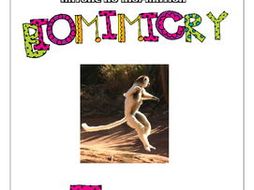 STEM - Biomimicry for Young Children - Tails - Montessori Inspired
