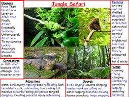 Jungle Vocabulary (fiction) plus a non-fiction activity | Teaching ...