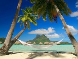 dream summer vacation budget project by aeckler teaching resources