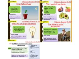 AQA new specification-B8 Photosynthesis-Complete bundle