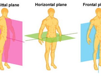 GCSE PE - Lever & Planes || Work-book and Power Point lessons