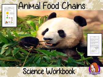 Science, Animals Including Humans, Food Chains STEAM Workbook