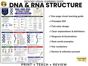 DNA & RNA STRUCTURE Biology Visual Learning Guide | Grade 8 & Middle School Science