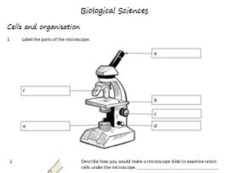 Year 8 Science Worksheets