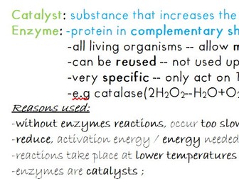 IGCSE Biology 0610 - Enzymes