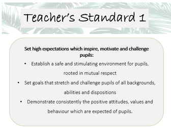NQT folder dividers - natural