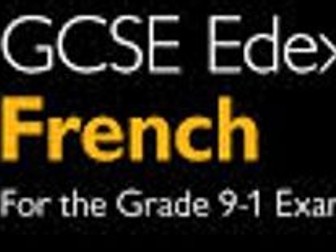 Mon été de rêve Pearson French Module 8