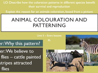 Markings and Colouration