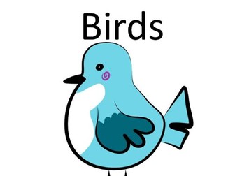 Birds ESL Mini Unit (Ages 3–6) | Trace, Label & Colour