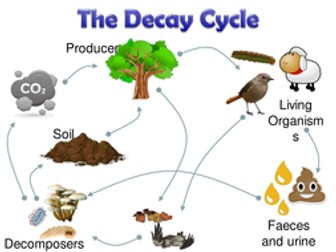 Decay and Decomposers [NEW SPEC AQA] 2020/2021
