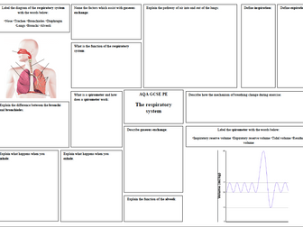 The Respiratory system- GCSE Revision