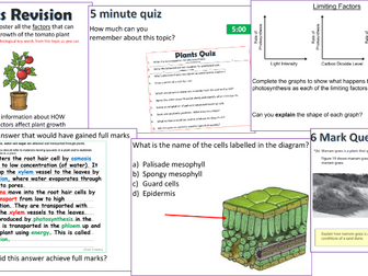 GCSE Biology Plants Revision