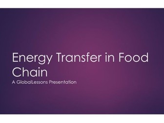 Energy Transfer in the Food Chain FREE