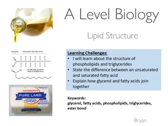 OCR A level Biology - Lipids