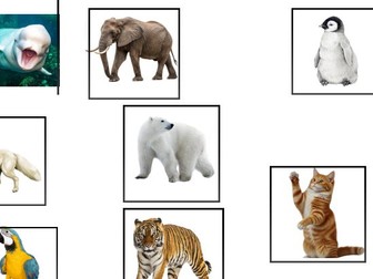 Polar or Non Polar Animals?