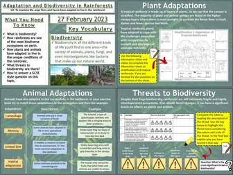 Adaptation and Biodiversity in Rainforests