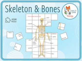 Skeleton and Bones - Jigsaw Puzzle (KS2/3)