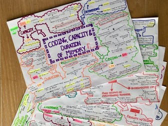 Memory Revision Notes - AQA A Level Psychology (2015 spec)