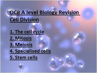 A level Biology OCR Chapter 6 Cell Division revision homework sheets [BUNDLE]