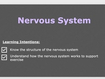 A Level PE - Nervous System