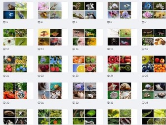 Natural Forms Drawing Resources