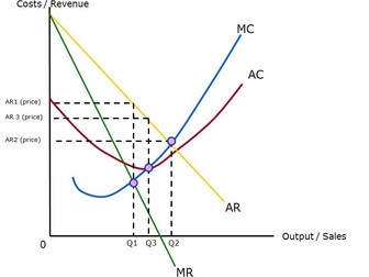 Microeconomics bundle: Costs, Revenues, Market Structures, Efficiencies, Growth of Firms, Firms Objectives, Consumer and Producer Surplus