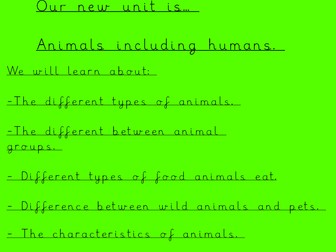 Science Classifying Animals - Year 1