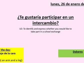 Intercambio-school exchange conditional tense
