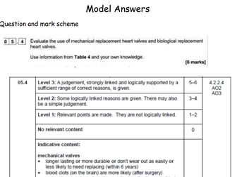 Heart Valves Model answer AQA Biology GCSE