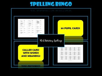 Spelling Bingo (Set 1): Year 5/6 statutory spelling list