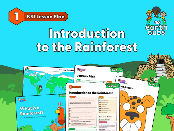 Introduction To The Rainforest: KS1 Lesson Plan | Teaching Resources