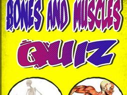 Bones and Muscle Quiz