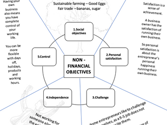 Aims and Objectives (non/financial)